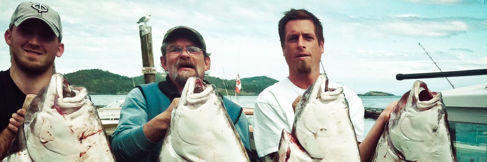 Halibut Lineup