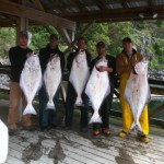 Great Halibut Bite