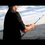 Halibut fishing video