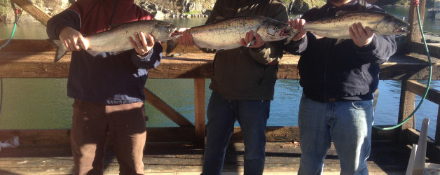 excellent salmon fishing