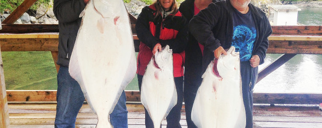 big halibut