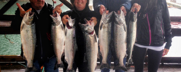 sooke salmon
