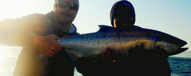 biggest chinook of winter