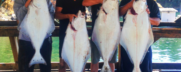 Halibut Keepers