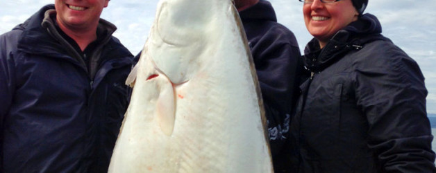 Halibut