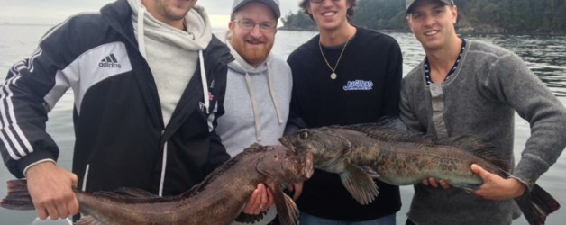 Freshly caught ling cod