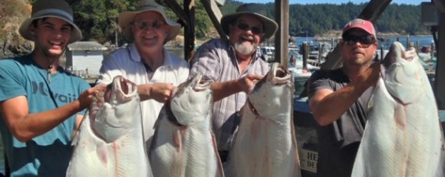 Halibut party