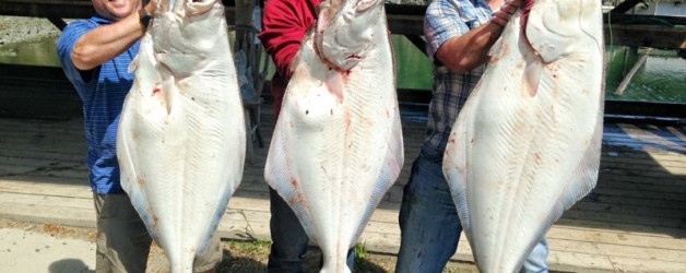 BC Halibut