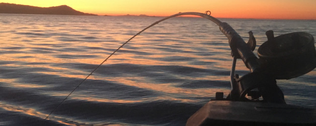 We use some of the best fishing gear around