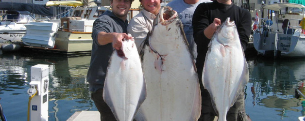 island life 2008 012