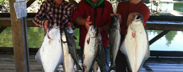 salmon and halibut victoria