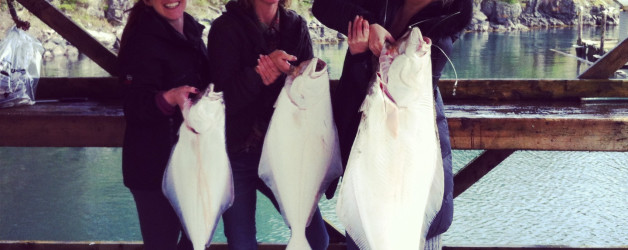 halibut and chicks vancouver island